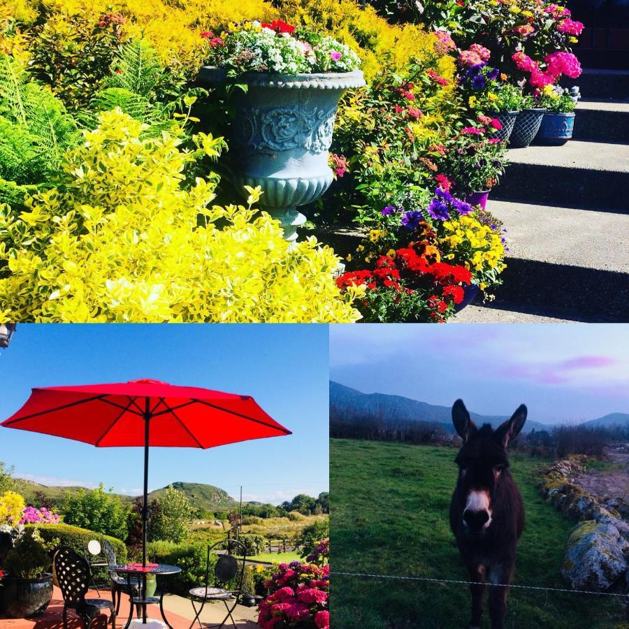 Hillcrest Farmhouse Bed & Breakfast Boyhollagh Exterior foto