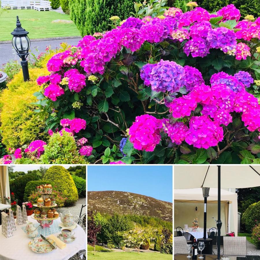 Hillcrest Farmhouse Bed & Breakfast Boyhollagh Exterior foto